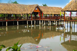 Con Phung, site potentiel de écotourisme